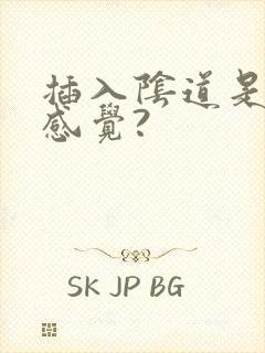 插入阴道是什么感觉?