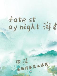 fate stay night 游戏中文版