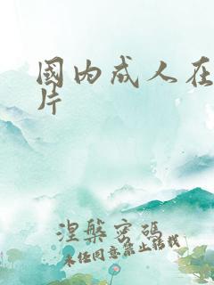 国内成人在线毛片