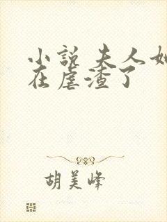 小说 夫人她又在虐渣了