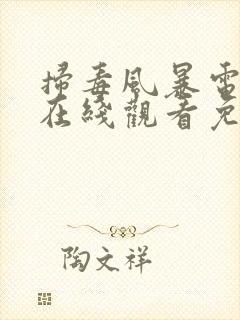 扫毒风暴电视剧在线观看免费高清