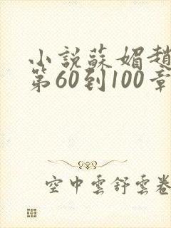 小说苏媚赵春城第60到100章