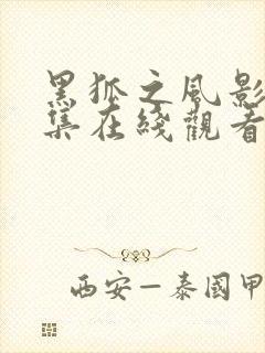 黑狐之风影42集在线观看