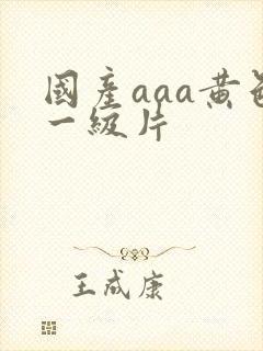 国产aaa黄色一级片