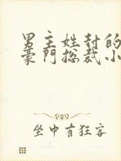 男主姓封的所有豪门总裁小说