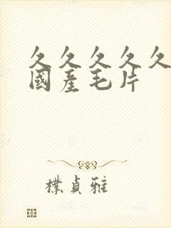 久久久久久精品国产毛片