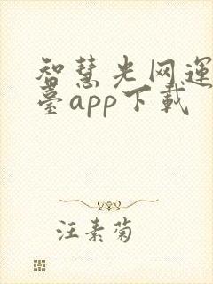 智慧光网运营平台app下载