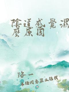 阴道感觉湿是什么原因