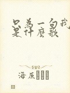 只为一句我爱你是什么歌