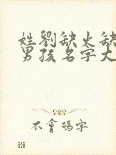 姓刘缺火缺金的男孩名字大全集