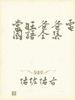 当旺爸爸电视剧国语全集