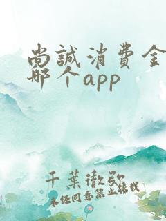 尚诚消费金融是哪个app