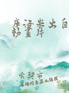 库洛米出自哪部动画片