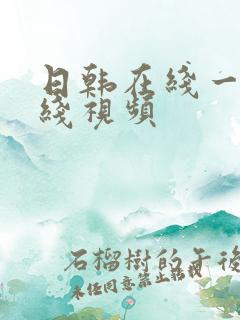 日韩在线一区在线视频