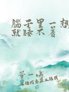 脑子里一想事情就睡不着