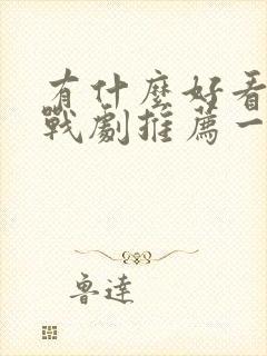 有什么好看的谍战剧推荐一下