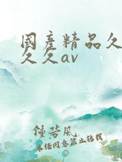 国产精品久久久久久av