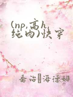 (np,高h,纯肉)快穿