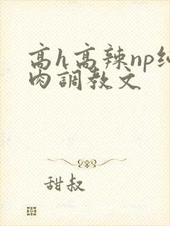 高h高辣np纯肉调教文