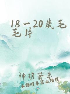 18一20岁毛毛片