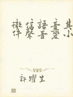 微信语音其他软件声音变小