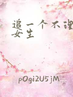 追一个不理我的女生