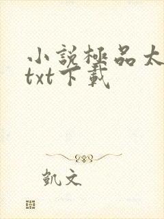 小说极品太子爷txt下载