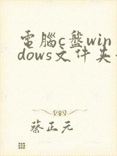 电脑c盘windows文件夹哪些东西可以删除