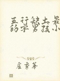 五行缺土最吉利的字男孩小名