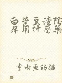 白带豆渣阴部瘙痒用什么药