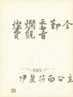 灿烂季节全集免费观看