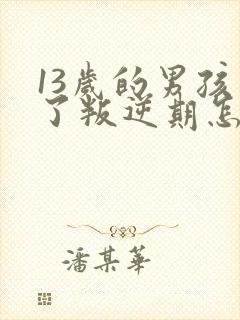 13岁的男孩到了叛逆期怎麽教