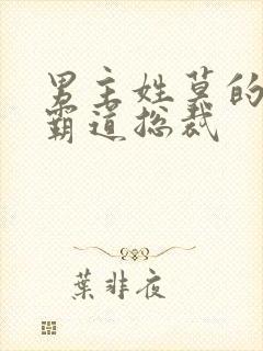 男主姓莫的小说霸道总裁