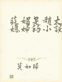 苏媚是赵大宝儿媳妇的小说