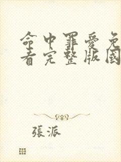 命中罪爱免费观看完整版国语高清