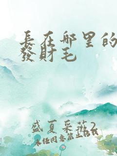 长在哪里的毛叫发财毛