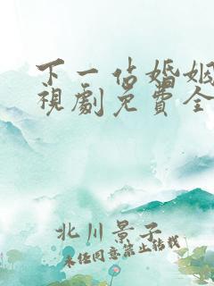 下一站婚姻 电视剧免费全集