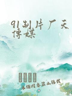 91制片厂天美传媒