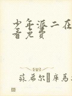 少年派二在哪里看免费