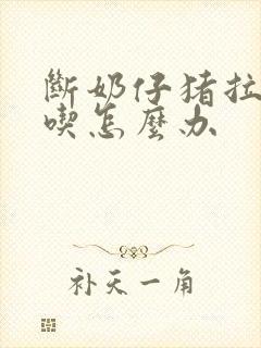 断奶仔猪拉稀不吃怎么办