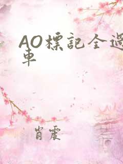 AO标记全过程车