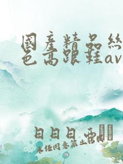 国产精品丝袜黑色高跟鞋av