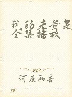 我的老爸是保安全集播放