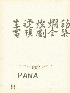 生逢灿烂的日子电视剧全集免费观看