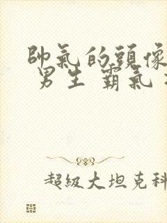 帅气的头像动漫 男生 霸气 冷酷