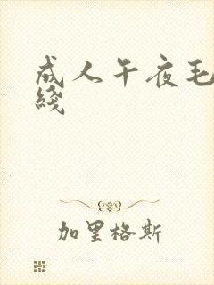 成人午夜毛片在线