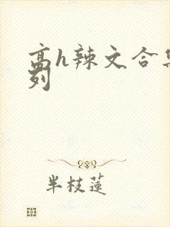 高h辣文合集系列