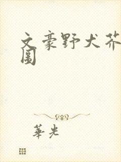 文豪野犬芥敦官图