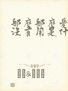 那么那么爱你也没有用是什么歌词