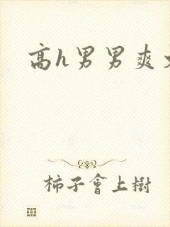 高h男男爽文